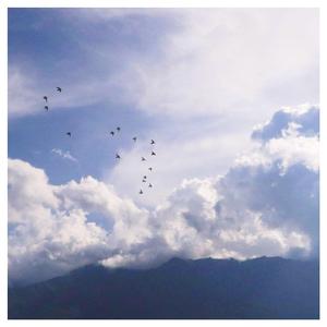 bdsm虐捆bdsmtv梱缚绑
